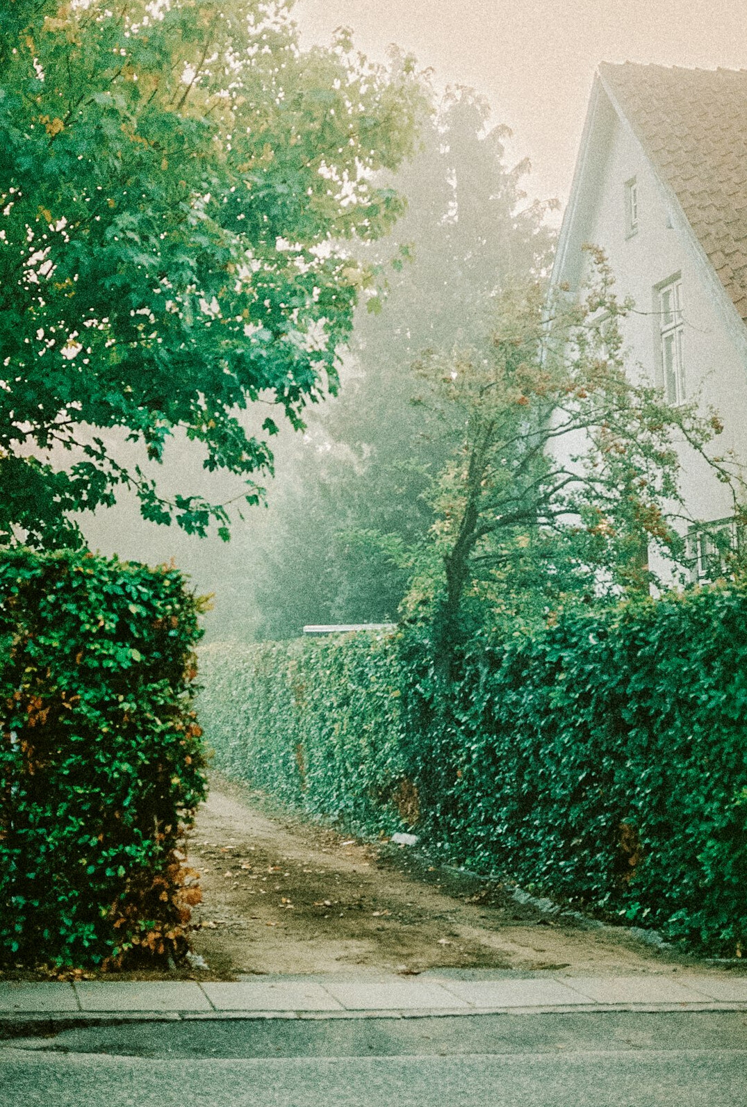 Danish family walking together on an autumn street in Aarhus