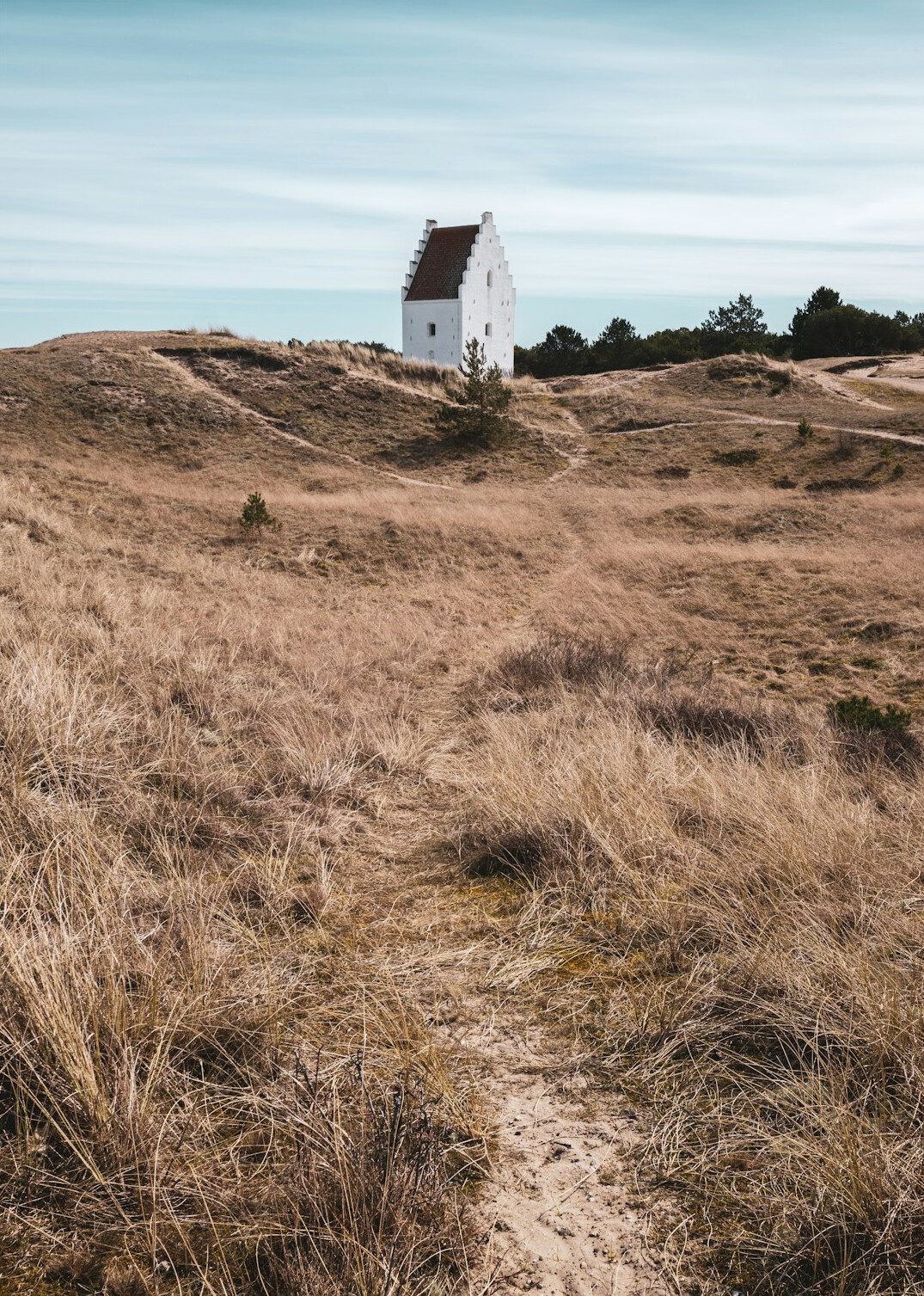 Sand dunes and coastline near Skagen in northern Denmark under a moody sky